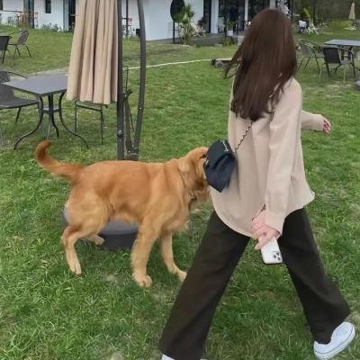 去他的世界第二季